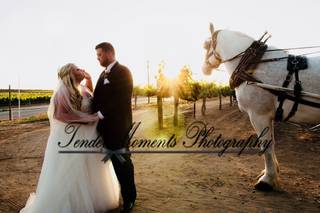 Tender Moments Photography - 7