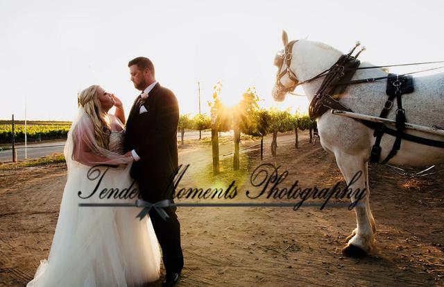 Tender Moments Photography - 3