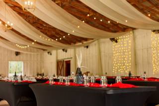 Best Day Ever Events and Rentals LLC - 10