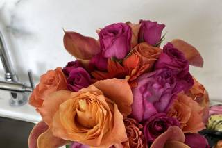 Sweet Pea - 18