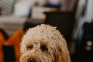 Therese Iacono Photography - 22