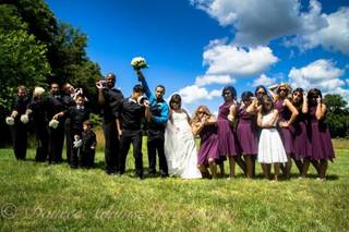 Nested & Company - 13