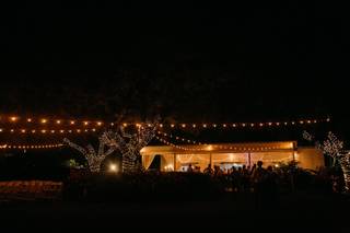 Tampa Lights - 5