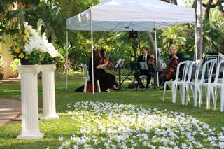 Oahu Strings - 12