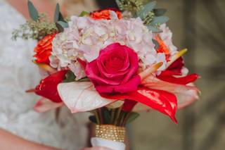 TLC Events - 10