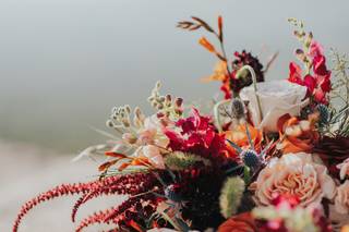 Rebeca Velie Photography - 5