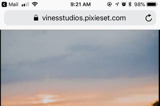 Vines Studios - 25
