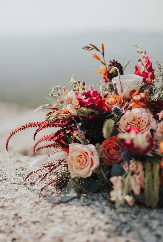 Rebeca Velie Photography - 2