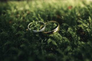 Andy Gagne Photography - 14