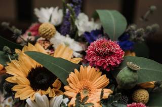 Ashley Robison Photography - 8