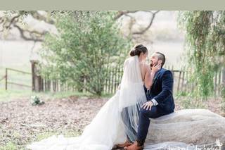 Chasing Chickadees Photography - 33