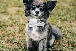 Rebecca Stone Photography - 7
