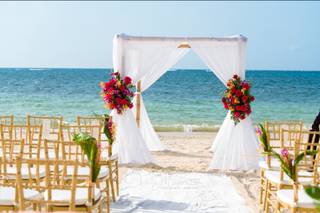 Denise Mason Photography - 57