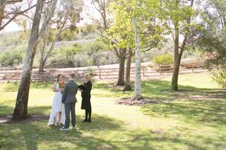 Lily Stein Photography - 6