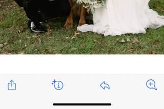 Brittany’s Pet Service LLC - 10