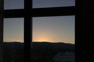 Juniper Cupertino, Curio Collection by Hilton - 15
