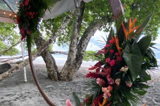 Tropical Occasions - 16