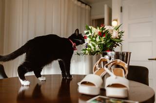 Juliana Wall Photography - 23