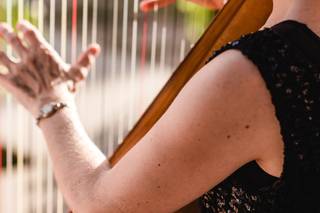 Ashley Toman- Harpist - 7