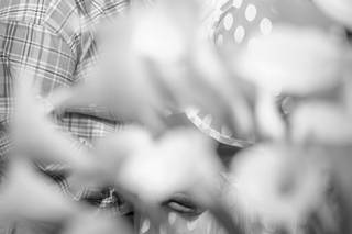 Anaya Photography - 14