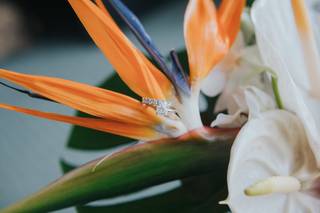 Coastal Blossoms - 27