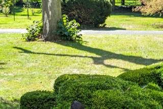 MPW Media Group - 31