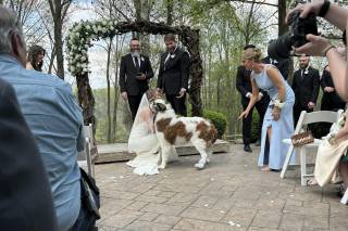 Annie Rose Events, LLC - 15