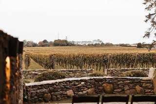 Newport Vineyards - 29