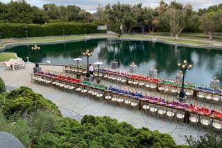 Dapper & Posh Weddings and Events - 7
