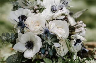 Fleur de lis Florist - 50