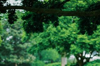 Lauren R Swann Photography, LLC - 13