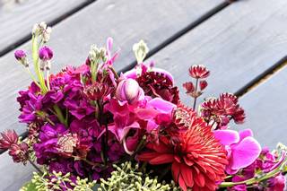 York Flower Shop - 26