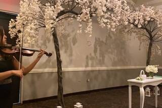 Tempo de Violines - 30