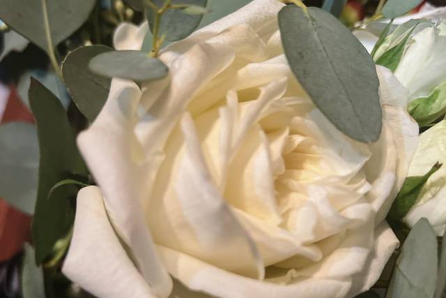 McNamara Florist 4