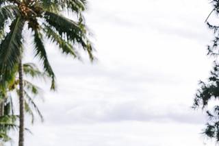 Opihi Love Destination Wedding & Events - 16