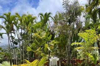 Oahu Wedding Villas & Venues - 34