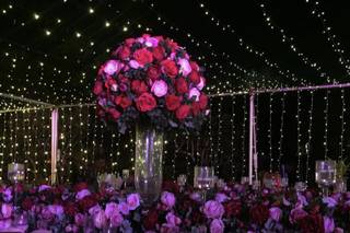 A's Creation Events Decor - 11