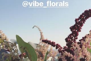 Vibe Florals - 18