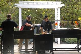 All Occasion Catering - 6