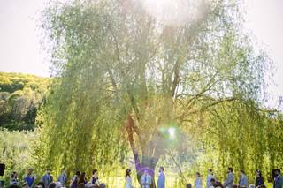 Nostrano Vineyards - 18