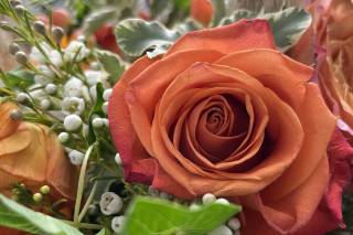 Presto Flowers - 53