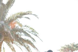 Destination Weddings in Portugal - 15