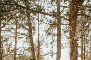 Woodland Floral - 20