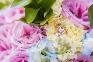 Hans and Nicole Photography - 17