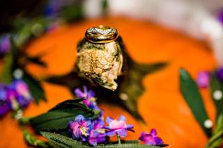 Matt Gruber Photography - 33