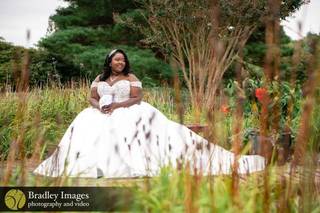 Bradley Images, inc. - 52
