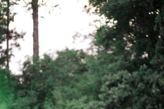Amy Maddox Photography - 52