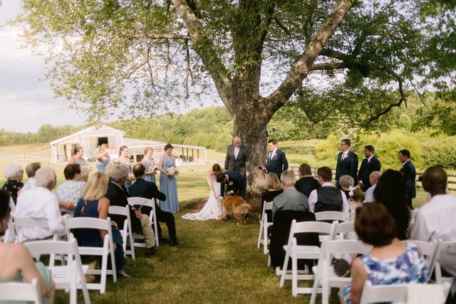 Amber Mae Photography - 4