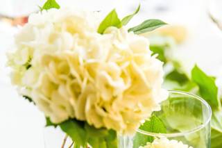 Designworks Florals - 10
