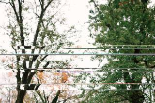 Bethany Snyder Photography - 9